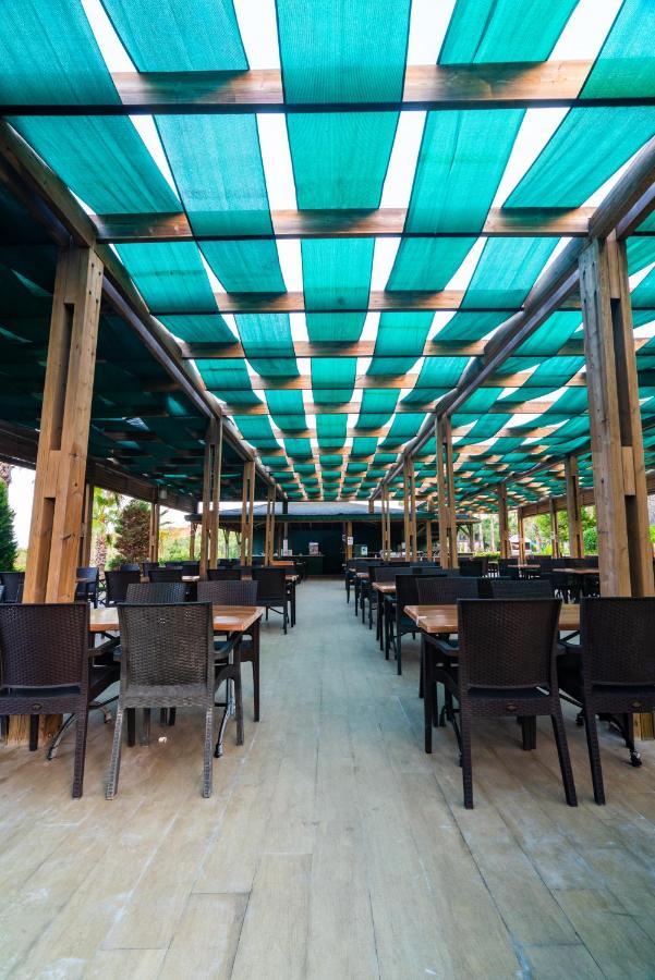 Royal Atlantis Beach シダ エクステリア 写真